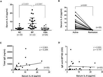 Elevated levels of interleukin-9 in the serum of bullous pemphigoid: possible association with the pathogenicity of bullous pemphigoid